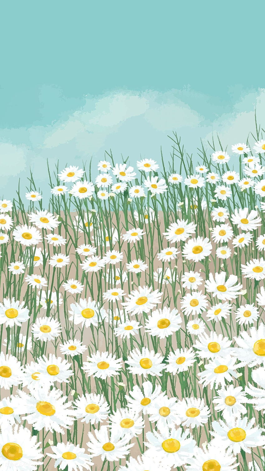 Blooming white daisy flower mobile ...pinterest, daisy aesthetic HD phone wallpaper