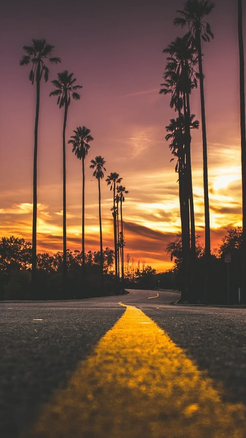 Sunset Road Landscape Scenery, road vertical HD phone wallpaper