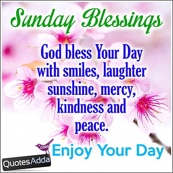 Happy Sunday Images  Browse 212 Stock Photos Vectors and Video  Adobe  Stock