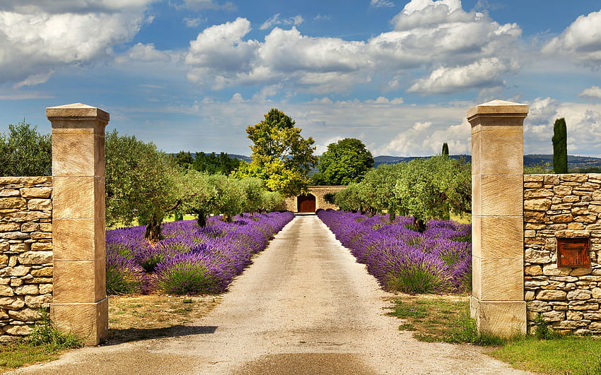 Provence Frankreich HD-Hintergrundbild