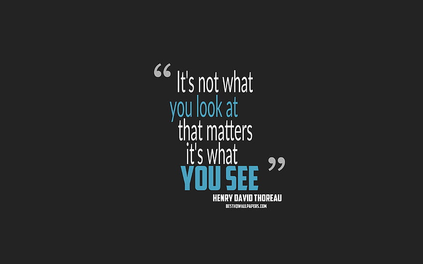 It is not what you look at that matters it is what you see, Henry David Thoreau quotes, minimalism, quotes about people, gray background, popular quotes with resolution HD wallpaper