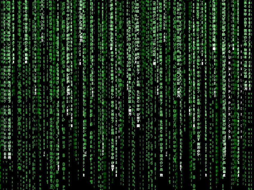 31 The Matrix, la lluvia de matrices en su totalidad fondo de pantalla
