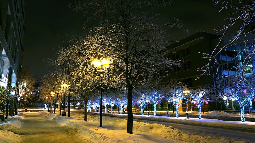 : drzewa, światła, Miasto, Pejzaż miejski, noc, park, śnieg, zimowy, wieczór, Boże Narodzenie, oświetlenie świąteczne, ozdoba, drzewo, śródmieście, oświetlenie, dekoracje, obszar miejski, drzewiastych roślin, świąteczna dekoracja 1920x1080, oświetlenie świąteczne na ulicy Tapeta HD