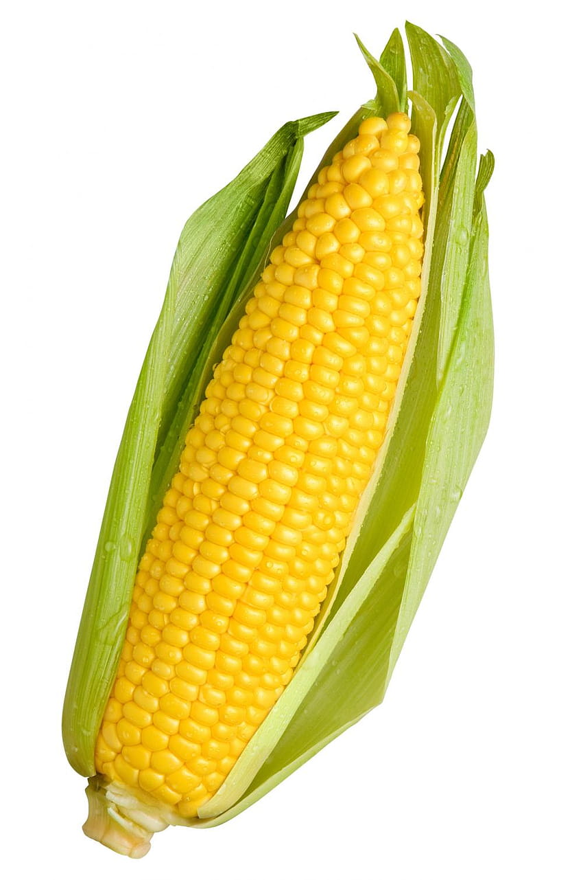 Kukurydza , Żywność, HQ Kukurydza, kukurydza Tapeta na telefon HD