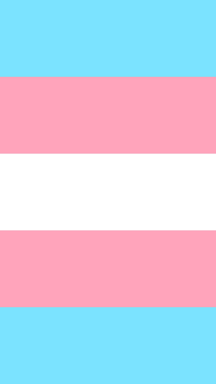 trans pride, transgender pride flag HD phone wallpaper