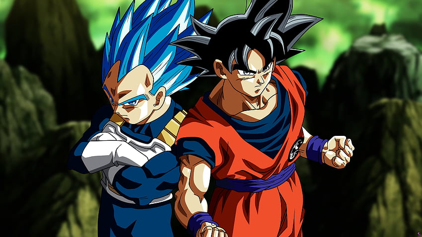  Goku y Vegeta de Dragonballs Son Goku Dragon Ball Super Super Saiyan Blue ul… Fondo de pantalla HD