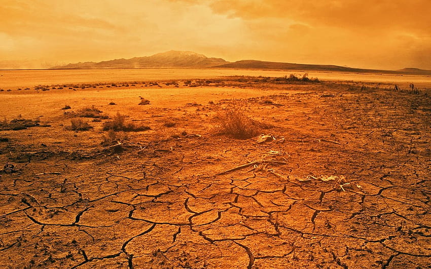 Once a pleasant meadow, this land is now a scorched desert, dry land HD wallpaper
