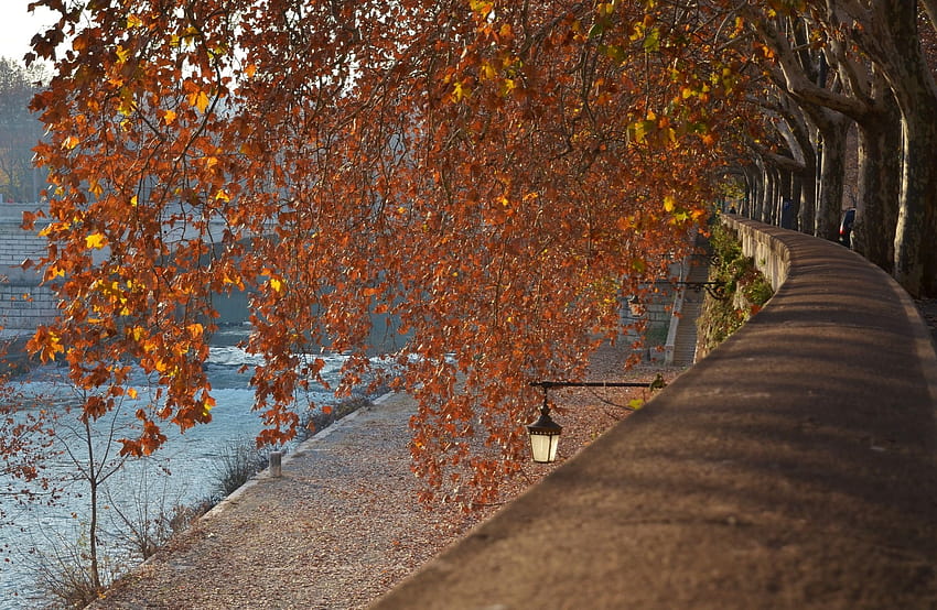 : sunlight, trees, landscape, nature, sky, branch, evening, path, spring, Rome, tree, autumn, leaf, woody plant, deciduous, tiber, lungotevere 2498x1628, rome spring HD wallpaper