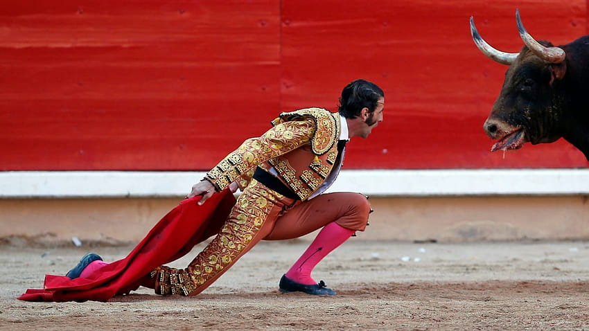 Bieg byków przez lata , walki byków w stylu hiszpańskim Tapeta HD