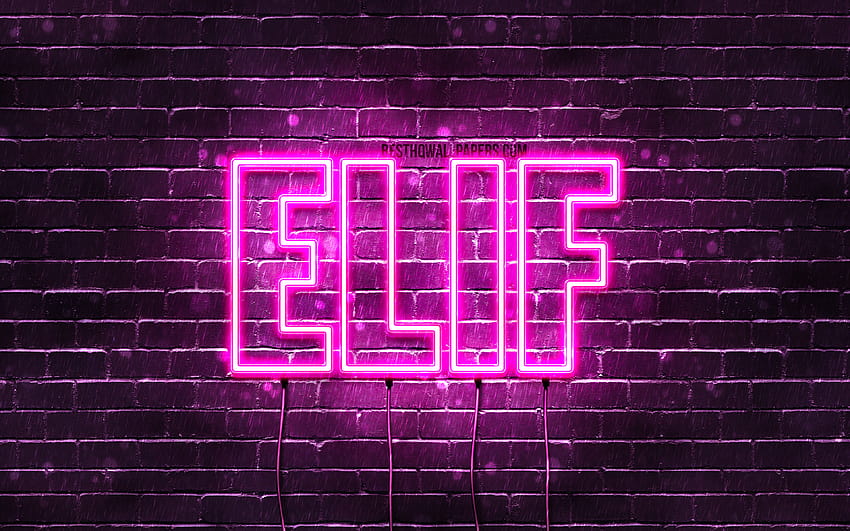 Elif, with names, female names, Elif name, purple neon lights, Happy Birtay Elif, popular german female names, with Elif name with resolution 3840x2400. High Quality HD wallpaper