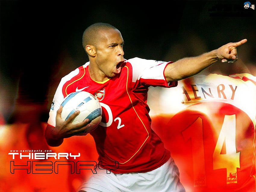 Thierry Henry back to Arsenel, thierry henry arsenal panda HD wallpaper