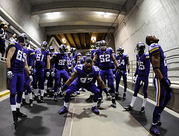 Minnesota Vikings Fondos de pantalla HD y Fondos de Escritorio