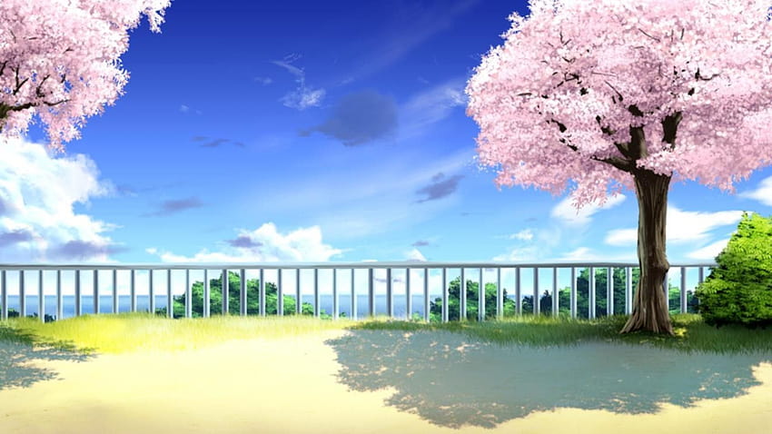Аниме Japanese Cherry Blossom – Аниме, японски аниме дървета HD тапет