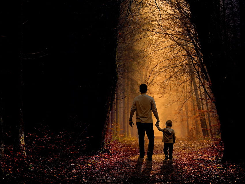 father, son, family, child, forest Family, Father, Son, father hands HD wallpaper
