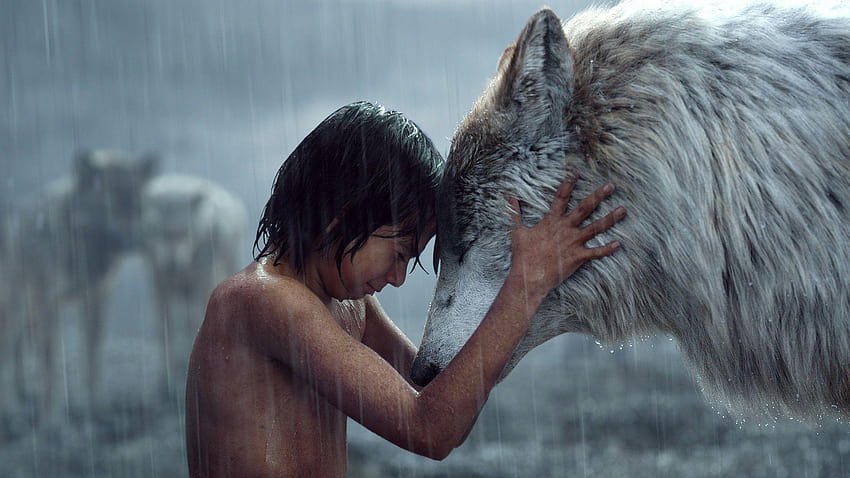 Mowgli And Wolf The Jungle Book HD wallpaper