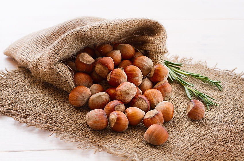 Food Hazelnut Nuts Closeup HD wallpaper