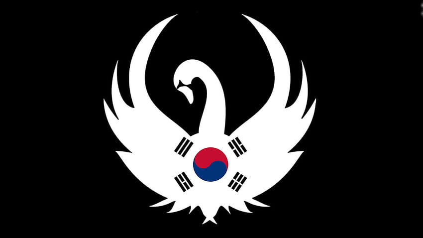 Korean Flag, south korea flag HD wallpaper