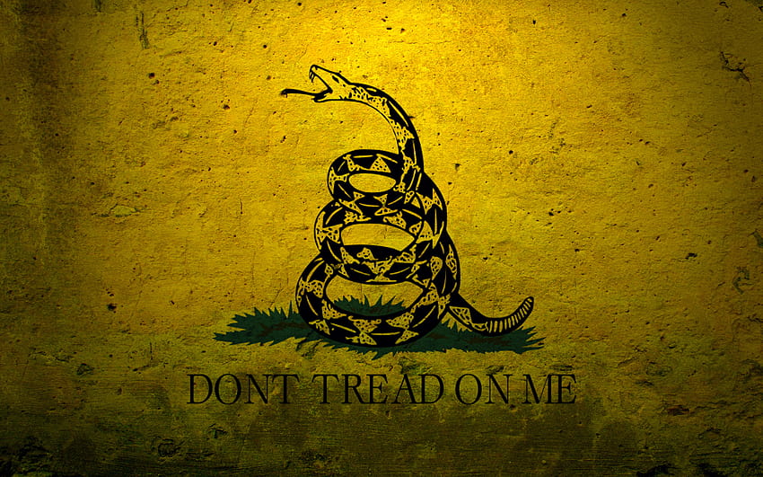 military, Flags, Usa, Navy, Concrete, Dont, Tread, On, Me, Gadsden, Flag / and Mobile Backgrounds HD wallpaper