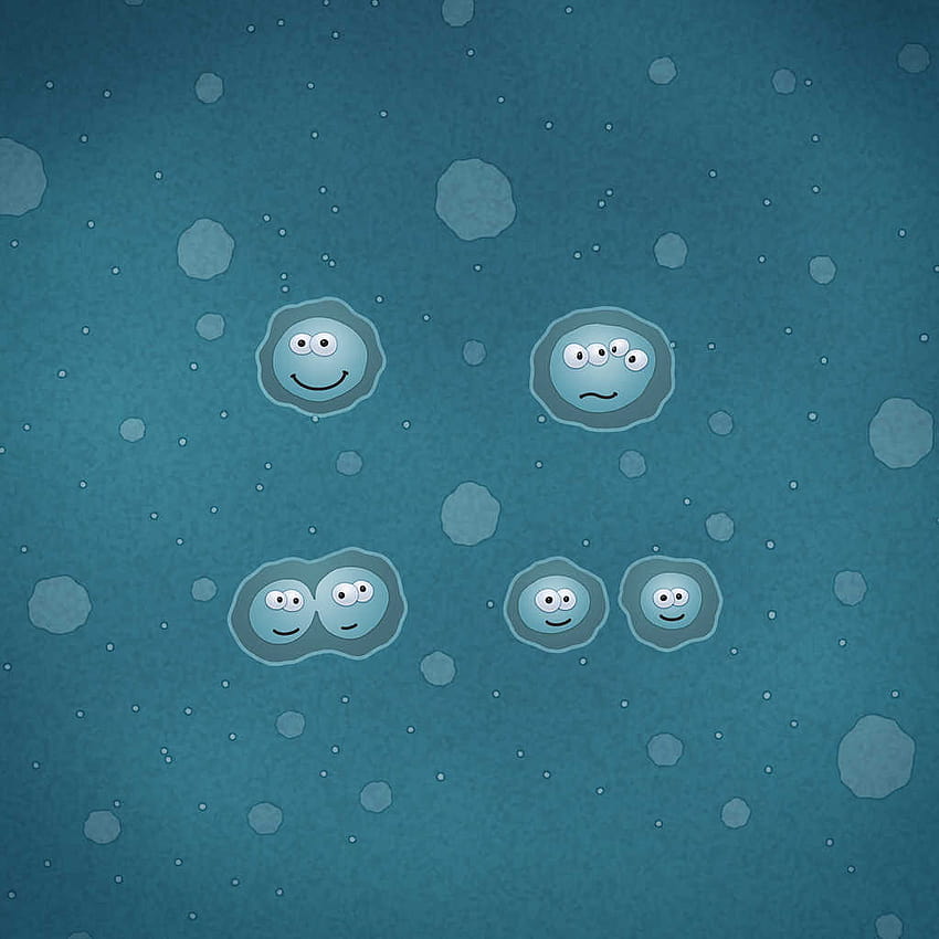 Cell Division / Mitosis | Stock Video | Pond5