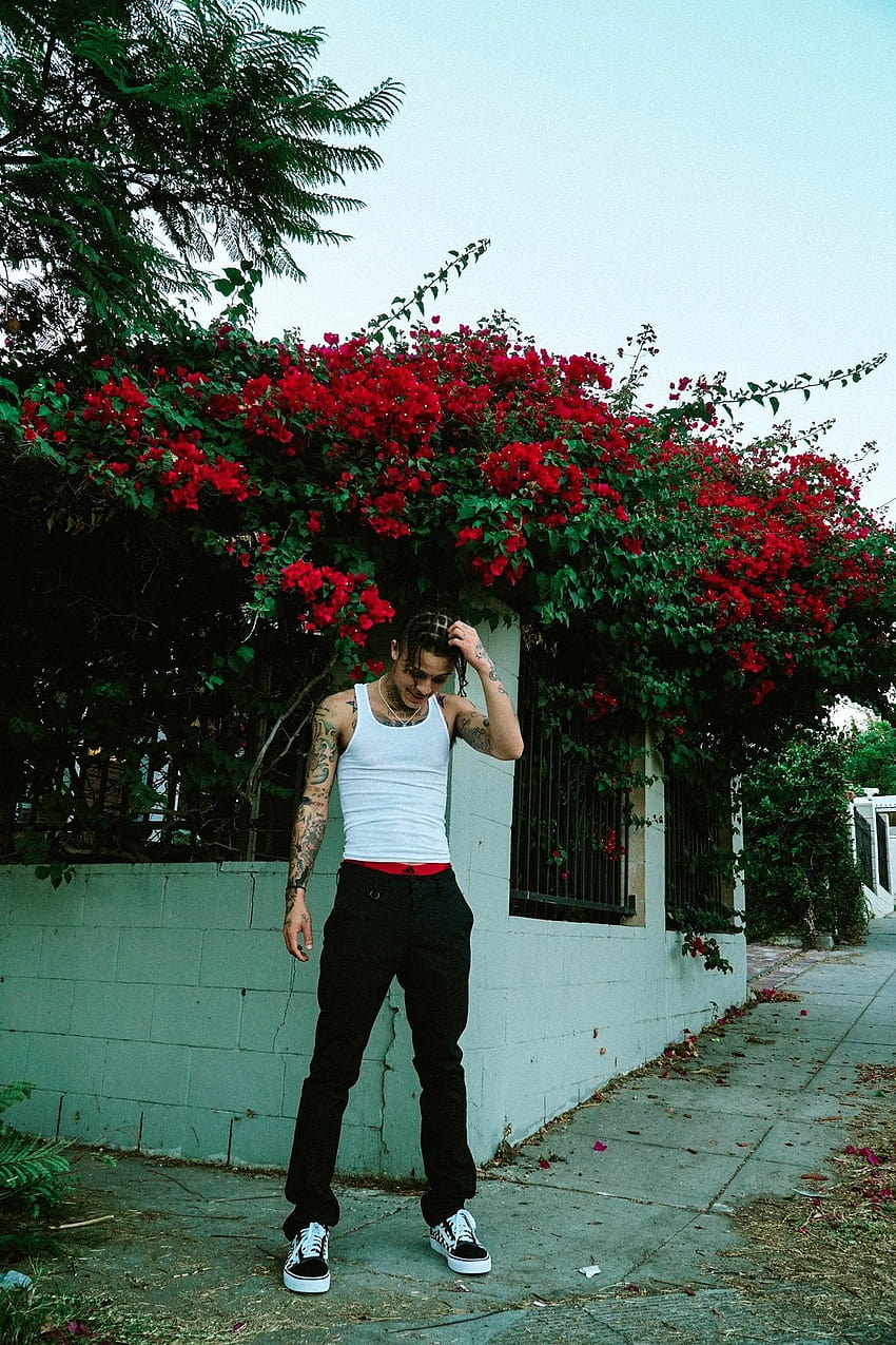 lil skies... look at all the RED ROSES HD phone wallpaper