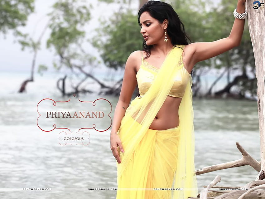 Heiße Bollywood-Heldinnen und -Schauspielerinnen I Indische Models, indische Achselhöhlen HD-Hintergrundbild