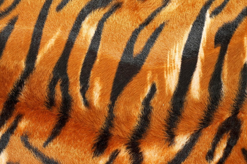 Tiger Pattern In , Instagram, tiger skin HD wallpaper