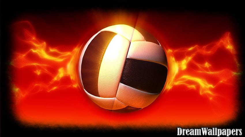 Cute Volleyball on Dog HD wallpaper