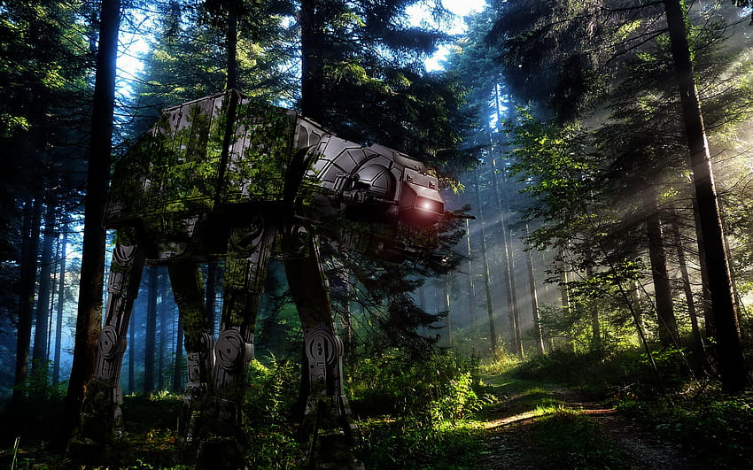 Star Wars, AT AT, Endor, Galactic Empire / and Mobile Backgrounds, star wars endor HD wallpaper