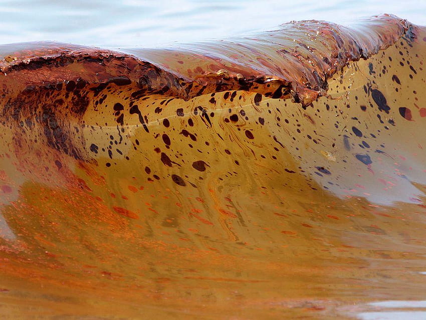 Oil Destruction, oil spill HD wallpaper