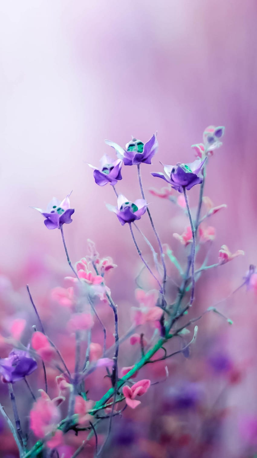 Polne kwiaty, fioletowe, Natura, pionowe wiosenne kwiaty Tapeta na telefon HD