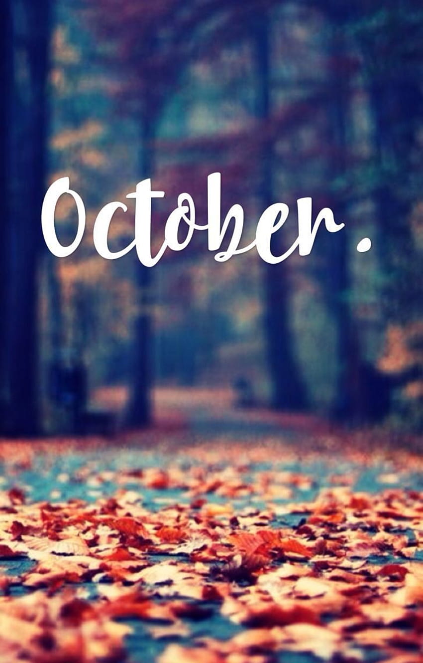 Fall October, animals in october HD phone wallpaper | Pxfuel