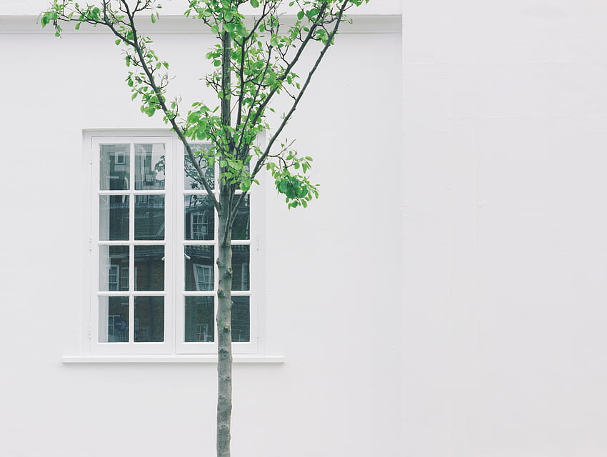 simplicity , backgrounds, simplicity summer HD wallpaper
