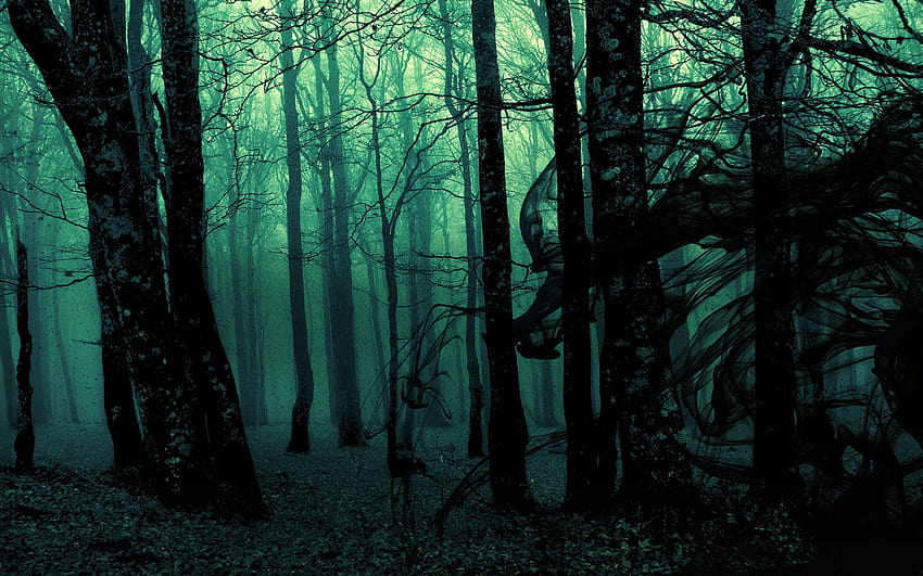 Samhain, halloween woods HD wallpaper | Pxfuel