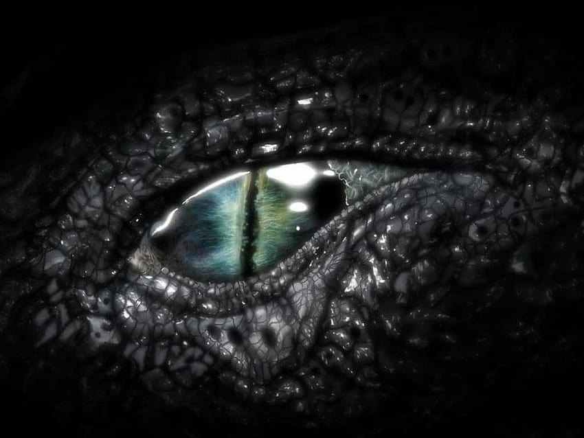 Dragon Eye All New [1024x768] for your , Mobile & Tablet HD wallpaper