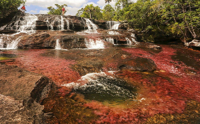 Natural Phenomena, liquid rainbow river of columbia HD wallpaper