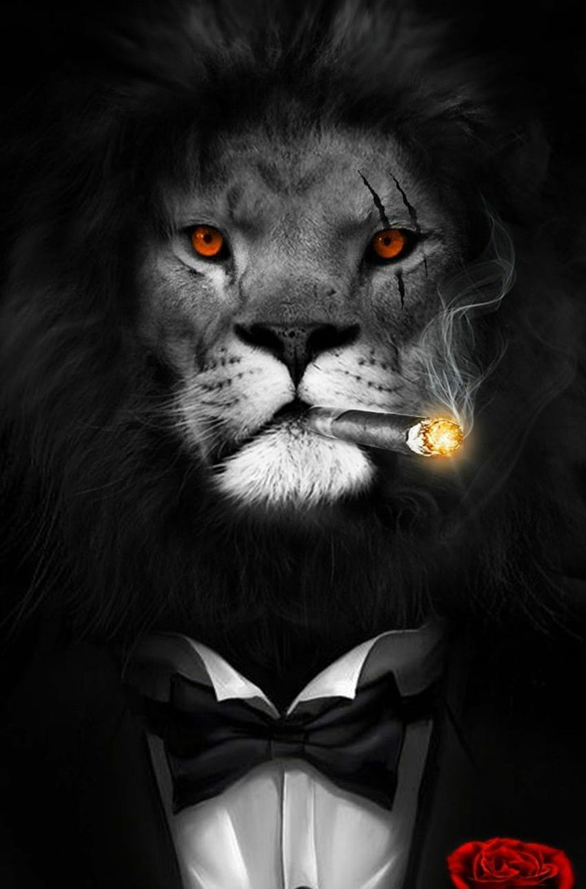Leones malvados, león rojo y negro fondo de pantalla del teléfono
