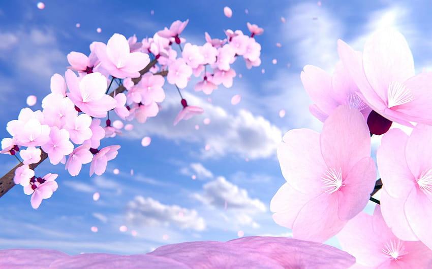 45 Types of Pink Flowers [Custom Graphics]