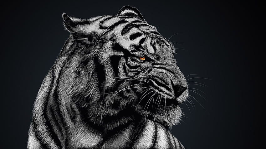 Black And White Tiger High Quality : Animal, tiger dark HD wallpaper |  Pxfuel