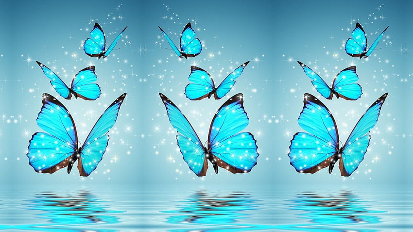 Blue Butterfly Backgrounds HD wallpaper