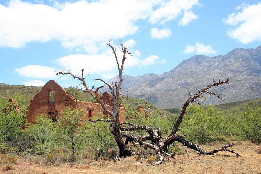 3112095 / broken, deserted, karoo, ruin, scorched, south africa, tree, western cape HD wallpaper