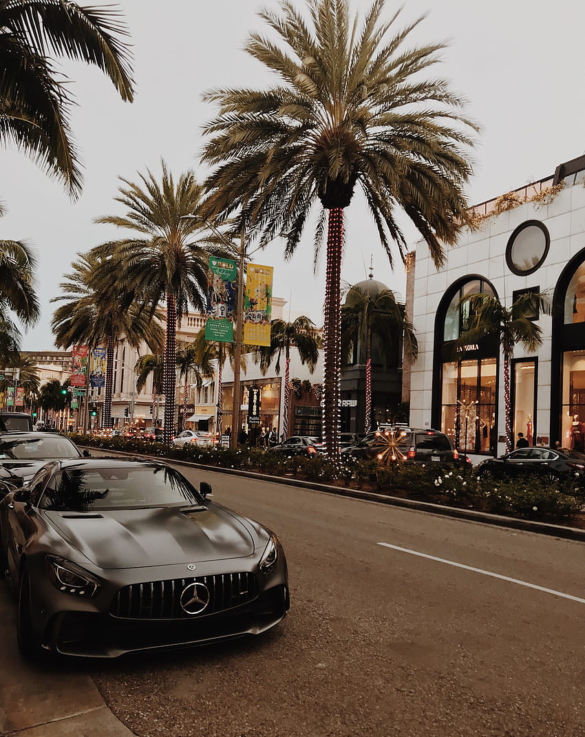Beverly Hills Hotel Pictures  Download Free Images on Unsplash