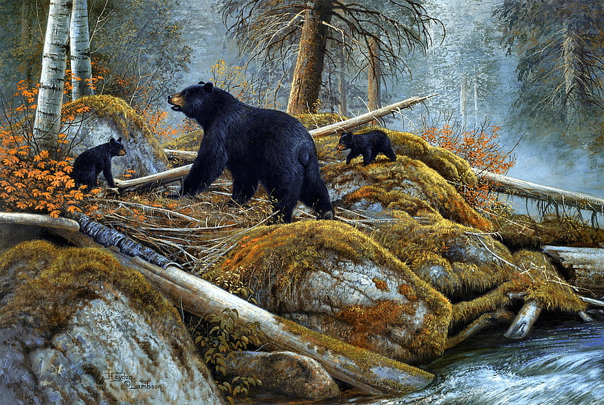 Bear and her Cubs near Autumn Lake, autumn black bear HD wallpaper