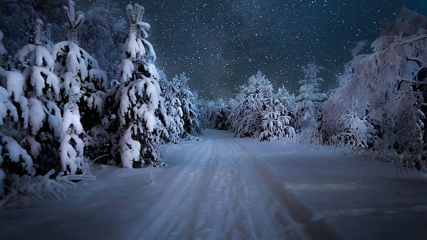 Notte d'inverno stellata sopra la foresta innevata, notte della foresta invernale Sfondo HD