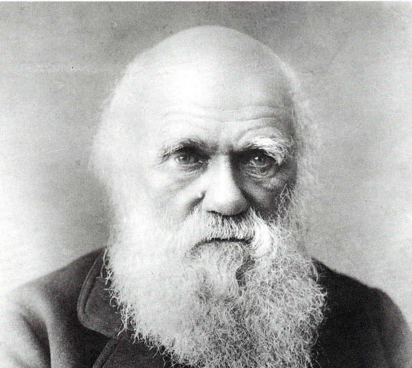 Charles Darwin 2 HD wallpaper