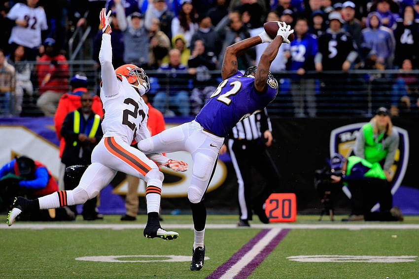 If WR Torrey Smith is a cap casualty, should the Ravens sign him HD wallpaper