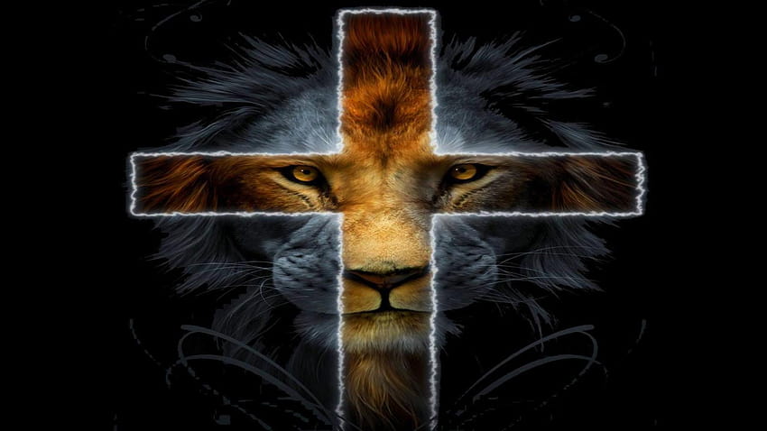 Lion Of Judah ✓ Enam HD wallpaper
