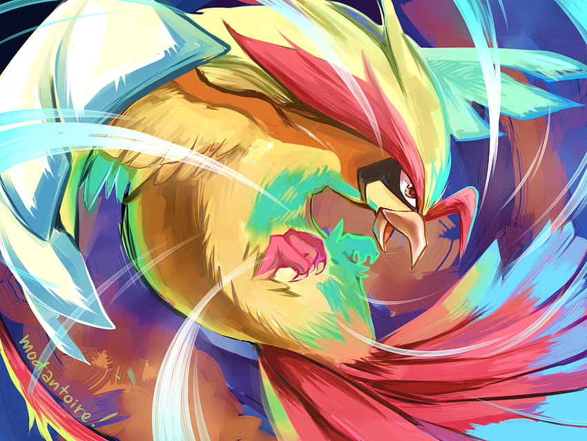 Mega pidgeot HD wallpaper | Pxfuel