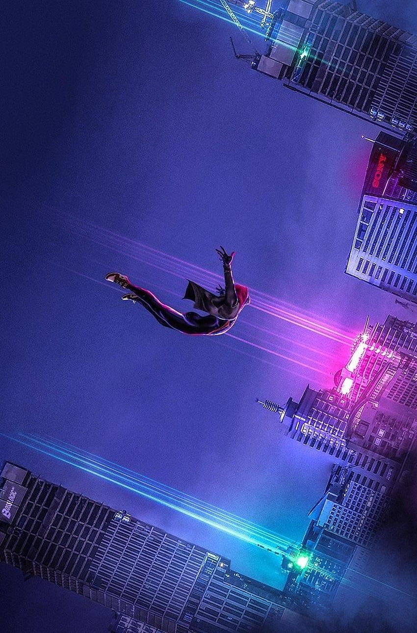 Spiderman: en la araña, el hombre araña en el verso de la araña fondo de pantalla del teléfono
