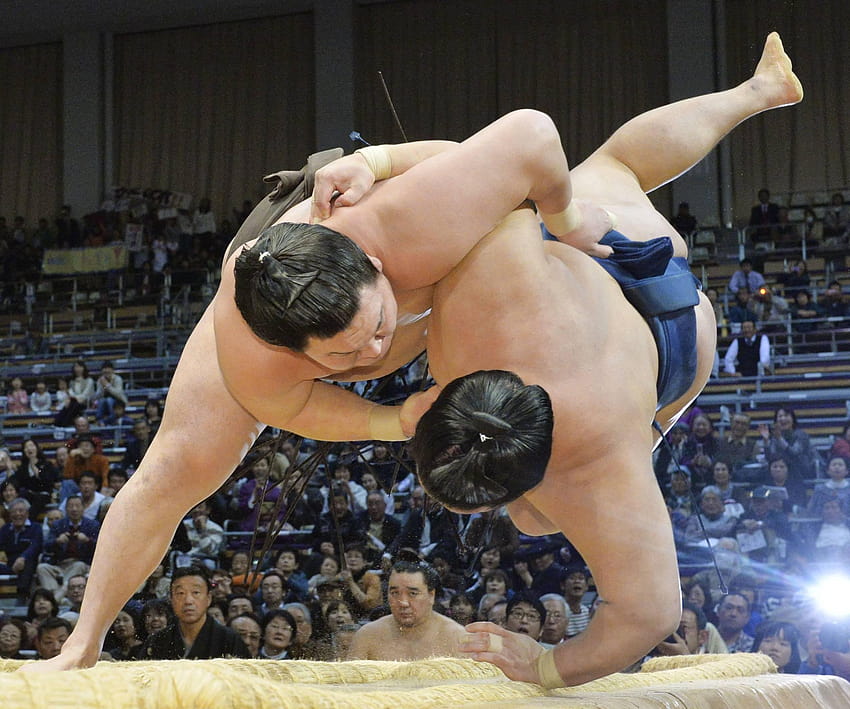 Sumo Wrestler High Quality, sumo wrestlers HD wallpaper