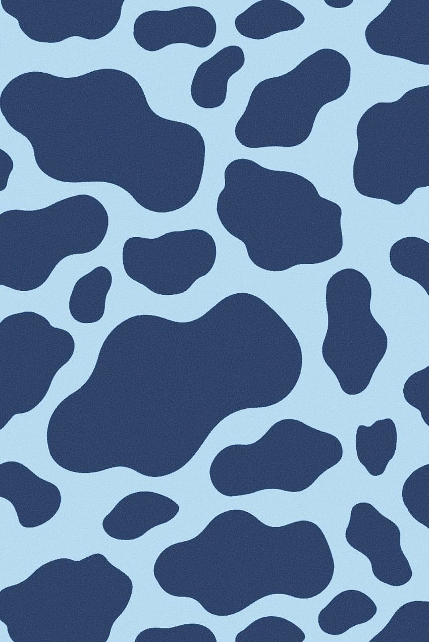 blue cow print in 2020 HD phone wallpaper